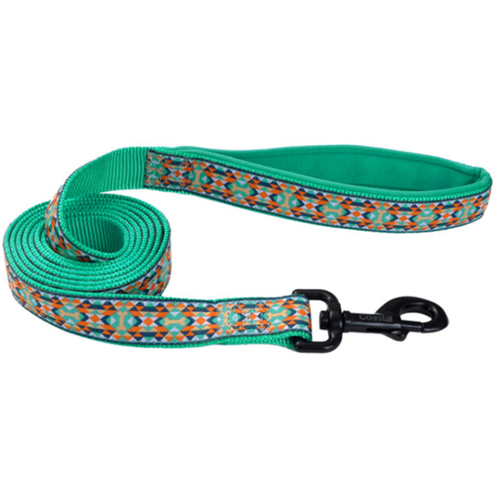 Coastal Ribbon Weave Leash КОСТАЛ РИББОН ВЕЙВ поводок для собак, 2,5см х 1,8м, темно-бирюзовый с косточками