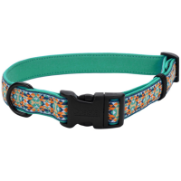 Coastal New Earth Soy Dog Collar КОСТАЛ СОЕВЫЙ ЭКООШЕЙНИК для собак, S/М 1,6см х 30-45см , темно-бирюзовый с косточками