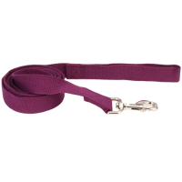 Coastal New Earth Soy Dog Leash КОСТАЛ СОЄВИЙ ЕКОПОВОДОК для собак, 1,6см х 1,83м, фіолетовий
