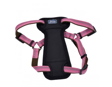 Coastal K9 Explorer шлей для собак з нагрудником, нейлон, 1,6смХ30-45 см, рожевий.