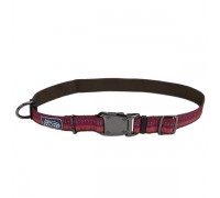 Coastal K9 Explorer ошейник для собак, нейлон, 2,5смХ30-45 см, розовый..