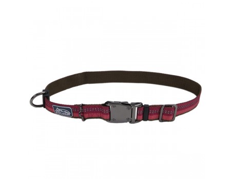 Coastal K9 Explorer нашийник для собак, нейлон, 2,5 см Х30-45 см, рожевий.