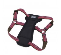 Coastal K9 Explorer шлей для собак з нагрудником, нейлон, 1,6смХ30-45 ..