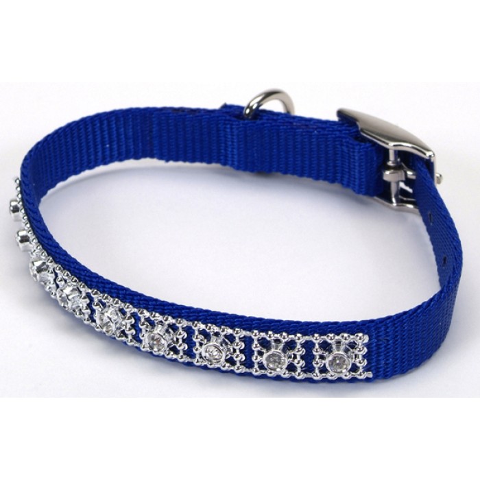 Coastal Jeweled нашийник для собак, блакитна лагуна, 1 см. Х25 см.