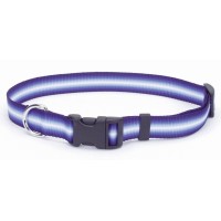 Coastal Trendz Graduated нашийник для собак, 1смХ30см, зелений.
