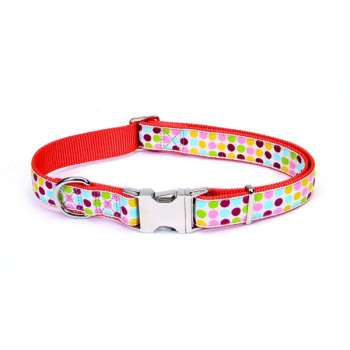 Coastal Pet Attire Ribbon ошейник для собак, 2,5смХ70см , точка.