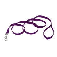 Coastal Nylon Training повідець для собак, нейлон, пурпурний, 2,5 см. Х1, 8 м.