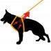 Ferplast  ERGOCOMFORT P S  Шлейка для собак с мягкой подкладкой и системой микрорегулировки  А 32-42 см,  B 46- 56 см  - фото 3