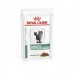 Royal Canin Feline DIABETIC CAT 85g 8+4   - фото 2