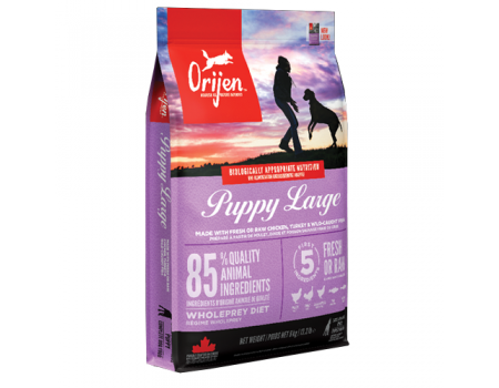 Orijen Puppy Large Breed Сухой корм для щенков крупных пород на основе цыпленка, индейки и рыбы, 11.4 кг