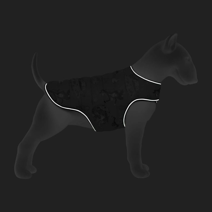 Collar WAUDOG Clothes курточка-накидка для собак, размер XXS, рисунок Рик и Морти 3