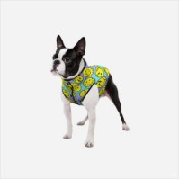 Collar WAUDOG Clothes куртка для собак, размер L 65, рисунок Смайли на голубом