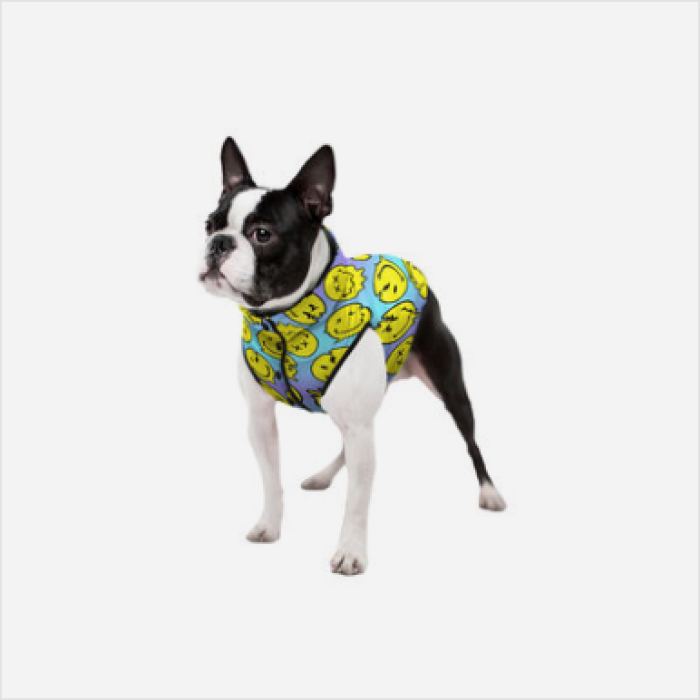 Collar WAUDOG Clothes куртка для собак, размер XS 22, рисунок Смайли на голубом