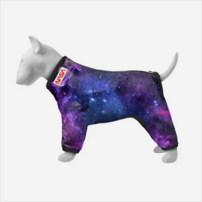 Collar WAUDOG Clothes ветровка для собак, размер XS 22, рисунок NASA21