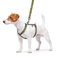 WAUDOG Nylon анатомічна H-подібна шлея для собак, розмір M (20 мм, шия 42-68 см, груди 50-80 см), малюнок "Мілітарі"