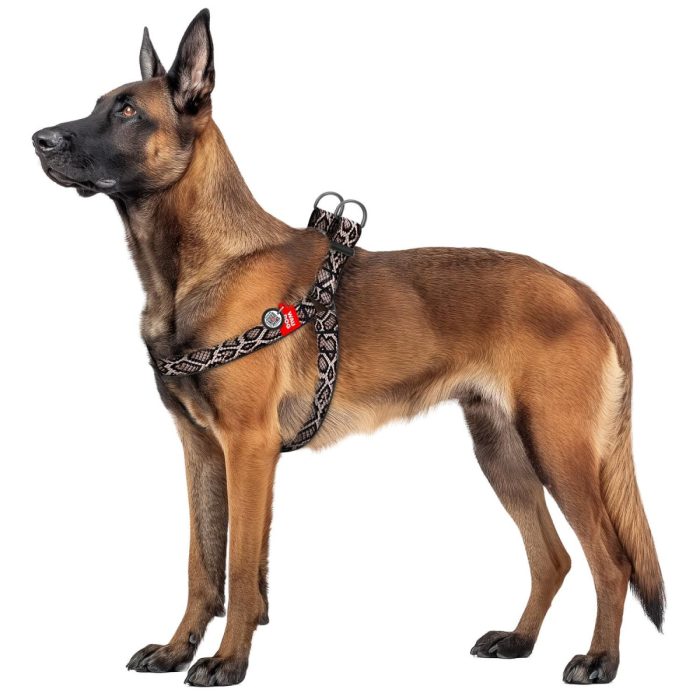 WAUDOG Nylon шлея для собак з QR паспортом, розмір S, 15 мм