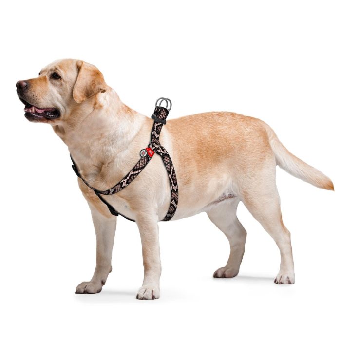 WAUDOG Nylon шлея для собак з QR паспортом, розмір S, 15 мм