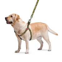 WAUDOG Nylon стрічкова шлея для собак, розмір S (15 мм, 40-55 см), малюнок "Мілітарі"