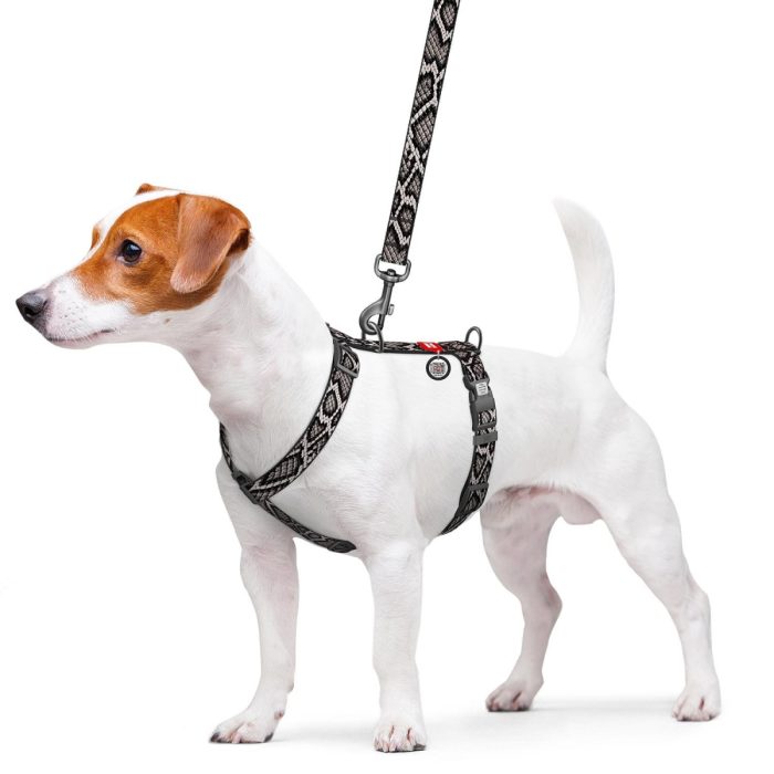 WAUDOG Nylon анатомічна H-подібна шлея для собак з QR паспортом, розмір S, 15 мм