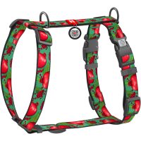 WAUDOG Nylon анатомічна H-подібна шлея для собак, розмір S (15 мм, шия 30-45 см, груди 36-45 см), малюнок "Гранати"