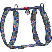 WAUDOG Nylon анатомічна H-подібна шлея для собак, розмір S (15 мм, шия 30-45 см, груди 36-45 см), малюнок "Інжир"