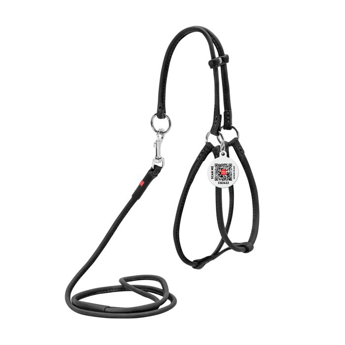 WAUDOG Soft шлея круглая кожаная с поводком для собак, S, Д 6 мм, А 26-46 см, В 30-50 см, черный