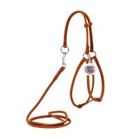 WAUDOG Soft шлея круглая кожаная с поводком для собак, S, Д 6 мм, А 26-46 см, В 30-50 см, коричневый