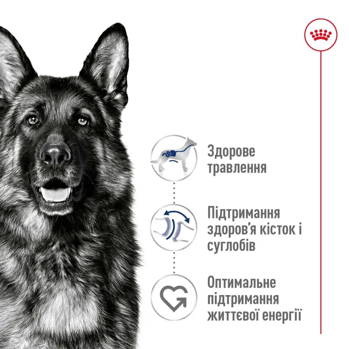 Royal Canin Корм для зрилих собак MAXI AGEING 8+ сухий корм для собак (птиця) 15 кг