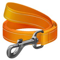 WAUDOG Nylon повідець для собак, розмір М (20 мм х 300 см), помаранчевий