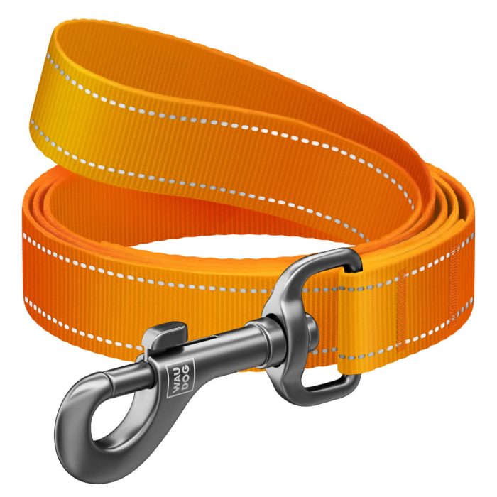 WAUDOG Nylon повідець для собак, розмір S (15 мм х 200 см), помаранчевий