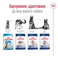 Royal Canin MAXI ADULT сухой корм для собак (птица) 15 кг