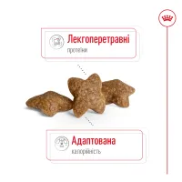 Royal Canin MINI ADULT сухой корм для собак (птица) 8 кг