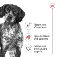 Royal Canin MEDIUM ADULT сухой корм для собак (птица) 15 кг
