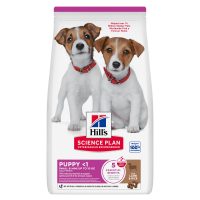 Hills Science Plan Canine Puppy Small & Mini Lamb & Rice Сухой корм (ягненок) 6 кг