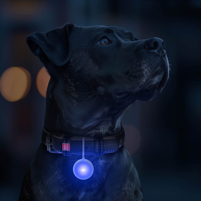 WAUDOG LED ліхтарик для собак і котів, універсальний (7.5х3.7х1.4 см), USB Type-C