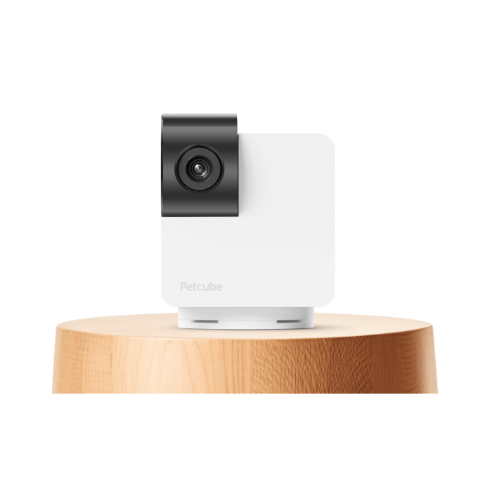 Petcube Cam 360 поворотная камера видеонаблюдения для домашних животных, белый