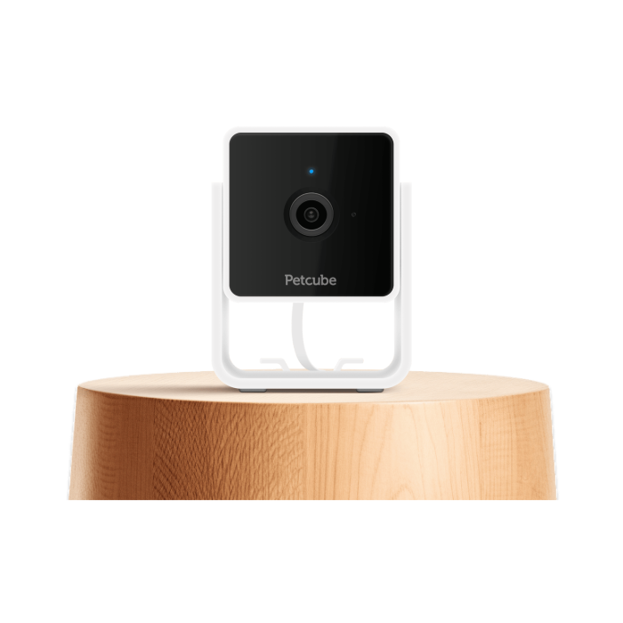 Petcube Cam камера видеонаблюдения для домашних животных, белый