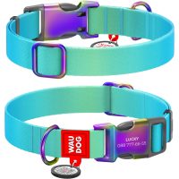 WAUDOG Nylon Recycled ошейник для собак с QR паспортом, размер S (15 мм), градиент голубой (металлическая пряжка)