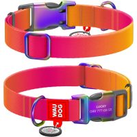 WAUDOG Nylon Recycled ошейник для собак с QR паспортом, размер S (15 мм), градиент оранжевый (металлическая пряжка)