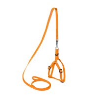 Collar DOG Extreme шлея с поводком для мелких животных, размер XXS (10 мм, поводок 115 см, 28-40 см), оранжевый