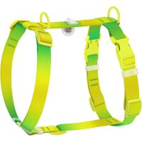 WAUDOG Nylon Recycled шлея для собак, размер S (15 мм, A 30-45 см, B 35-45 см), градиент салатовый (пластиковый фастекс)