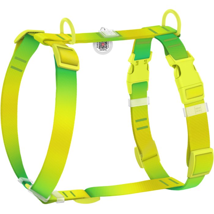 WAUDOG Nylon Recycled шлея для собак, розмір S (15 мм, A 30-45 см, B 35-45 см), градієнт салатовий (пластиковий фастекс)