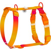 WAUDOG Nylon Recycled шлея для собак с QR паспортом, размер XS (10 мм, A 20-30 см, B 28-40 см), градиент оранжевый (пластиковый фастекс)