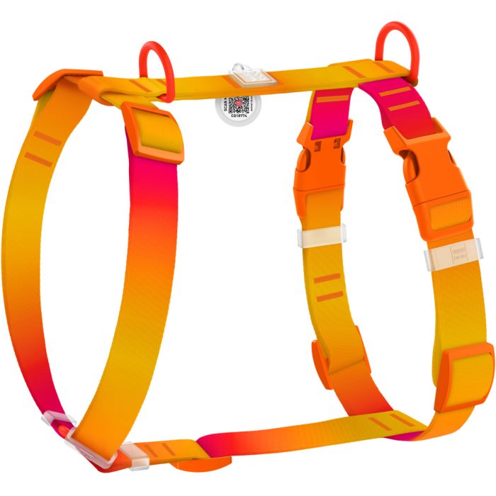 WAUDOG Nylon Recycled шлея для собак, розмір S (15 мм, A 30-45 см, B 35-45 см), градієнт помаранчевий (пластиковий фастекс)