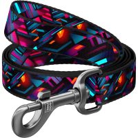 WAUDOG Nylon повідець для собак, розмір S (15 мм х 300 см), "Нескінченні світи"