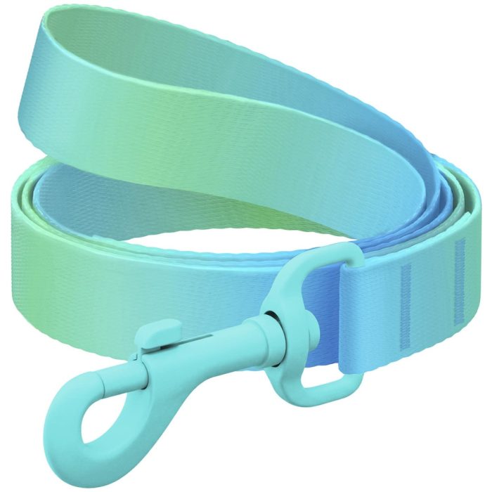 WAUDOG Nylon Recycled повідець для собак, розмір XS (10 мм х 122 см), градієнт блакитний (кольоровий карабін)