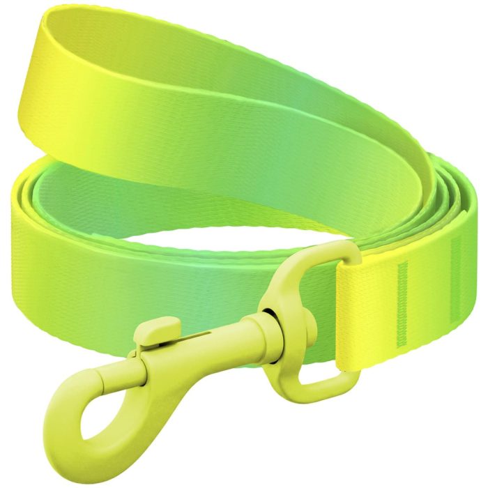 WAUDOG Nylon Recycled повідець для собак, розмір XS (10 мм х 122 см), градієнт салатовий (кольоровий карабін)