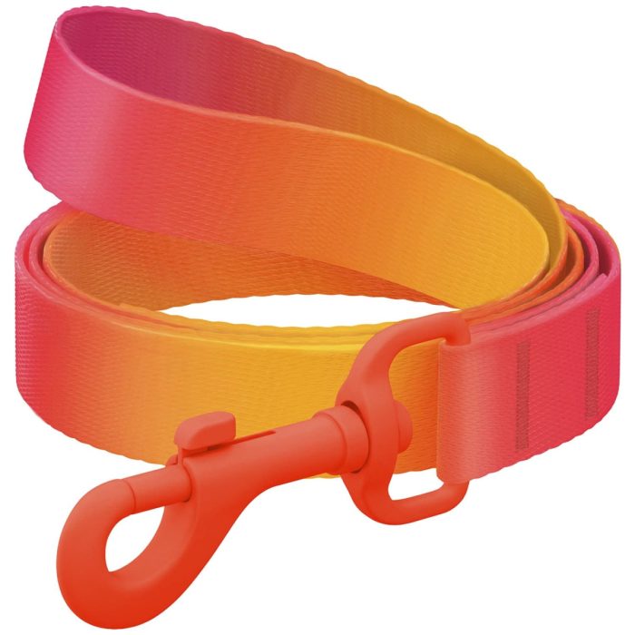 WAUDOG Nylon Recycled повідець для собак, розмір XS (10 мм х 122 см), градієнт помаранчевий (кольоровий карабін)