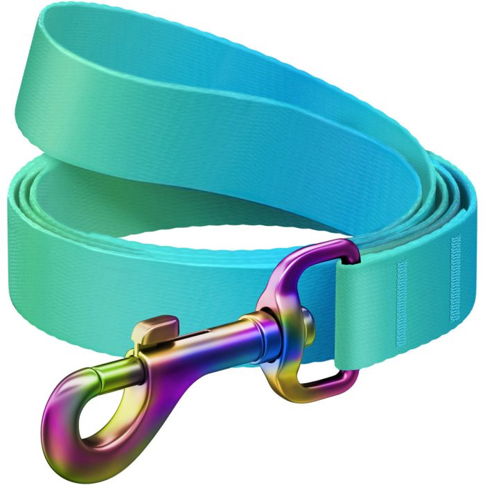 WAUDOG Nylon Recycled повідець для собак, розмір S (15 мм х 122 см), градієнт блакитний (сталевий карабін)