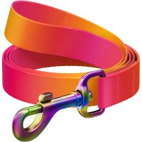 WAUDOG Nylon Recycled повідець для собак, розмір L-XXL (25 мм х 122 см), градієнт помаранчевий (сталевий карабін)